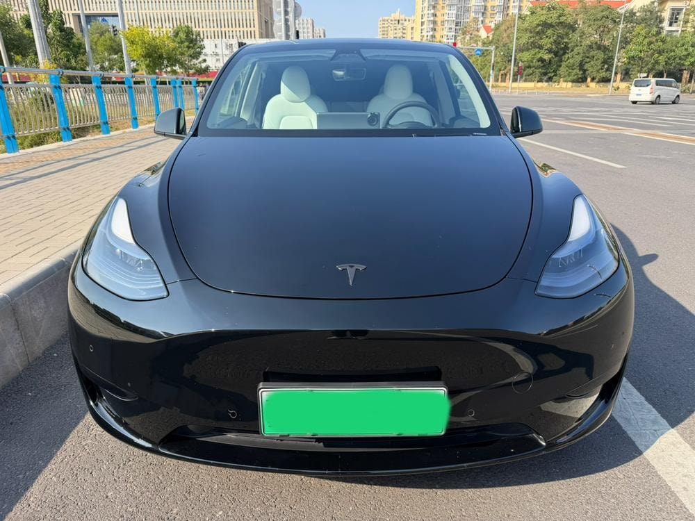 Tesla Model Y 2022 — фото автомобиля 1