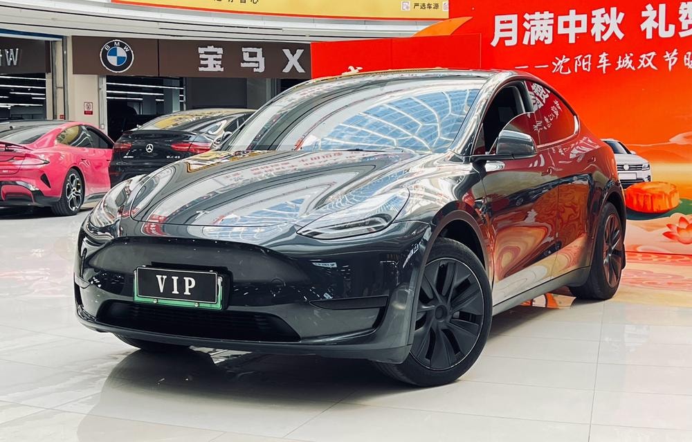 Tesla Model Y 2024 — фото автомобиля 1