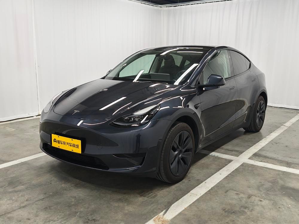 Tesla Model Y 2024 — фото автомобиля 1