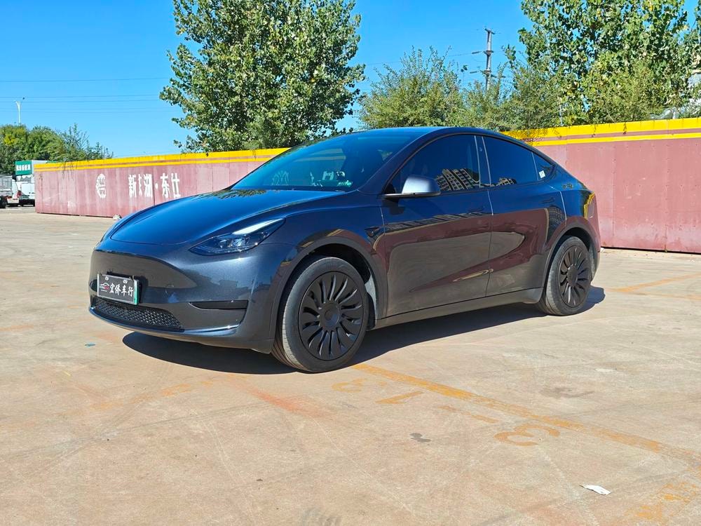 Tesla Model Y 2024 — фото автомобиля 1
