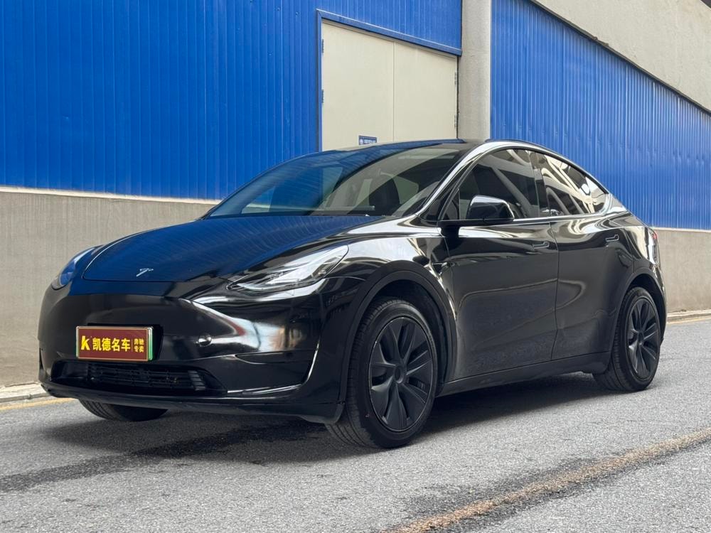 Tesla Model Y 2024 — фото автомобиля 1