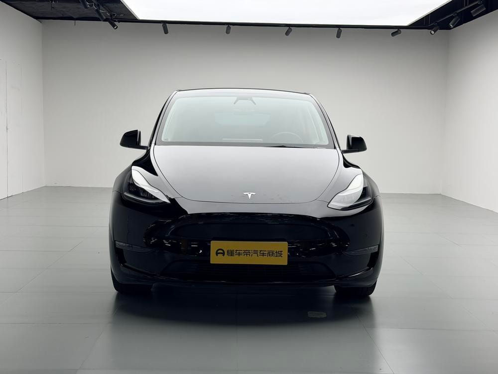 Tesla Model Y 2021 — фото автомобиля 1