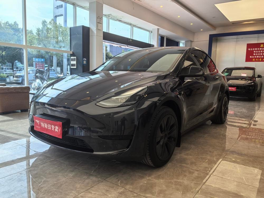 Tesla Model Y 2024 — фото автомобиля 1