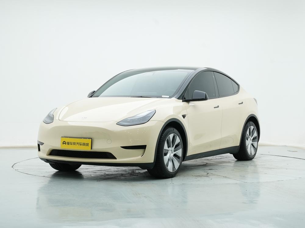 Tesla Model Y 2022 — фото автомобиля 1