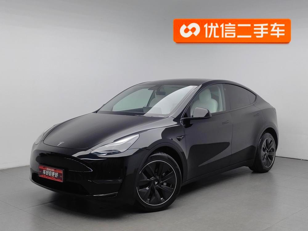 Tesla Model Y 2021 — фото автомобиля 1