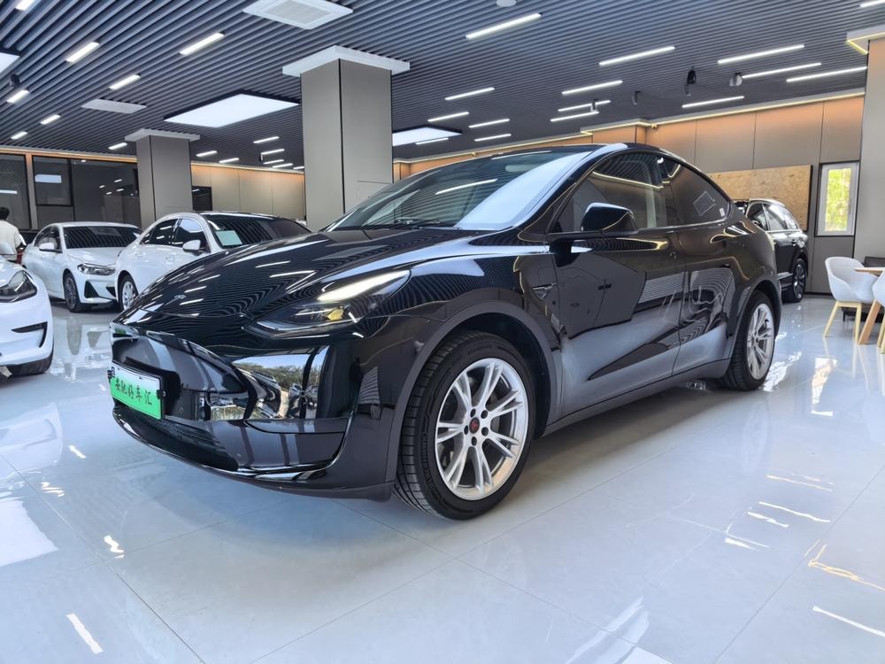 Tesla Model Y 2022 — фото автомобиля 1