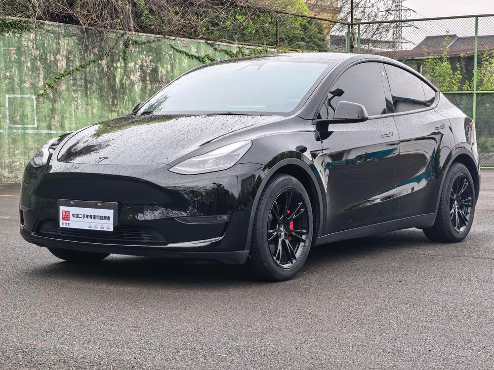 Tesla Model Y 2021 — фото автомобиля 1