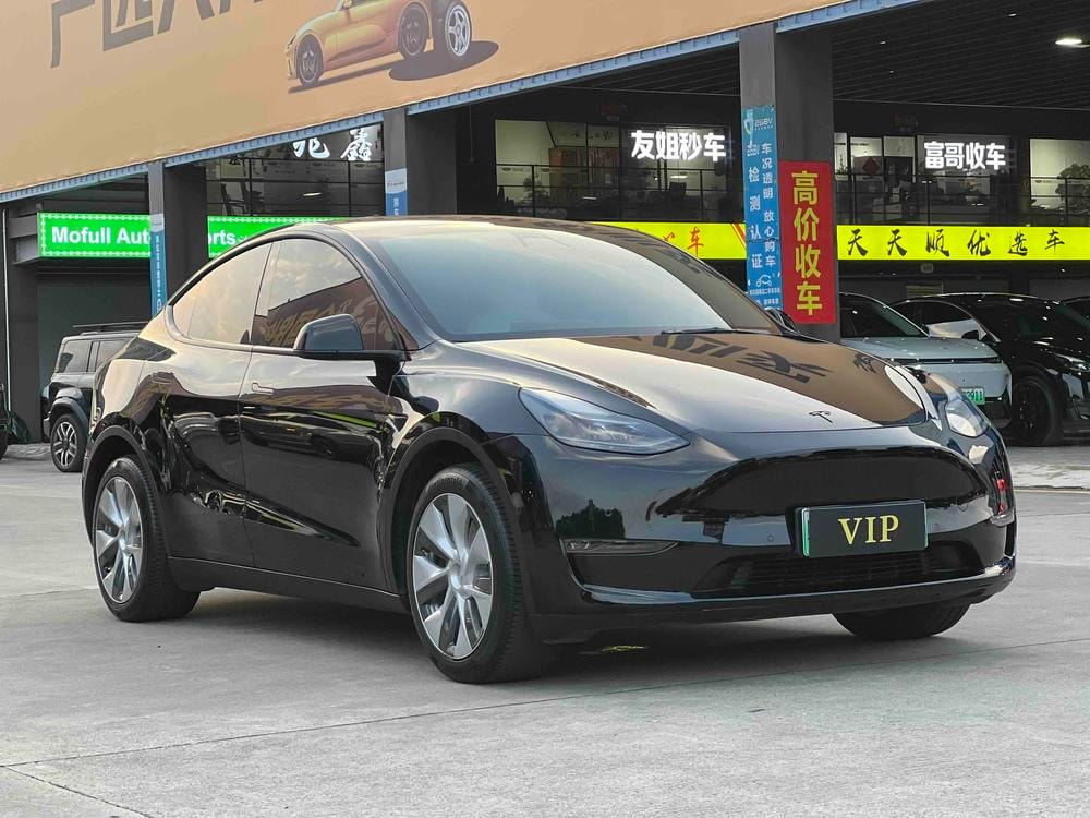 Tesla Model Y 2022 — фото автомобиля 1