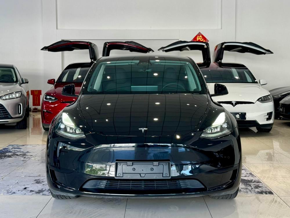 Tesla Model Y 2022 — фото автомобиля 1