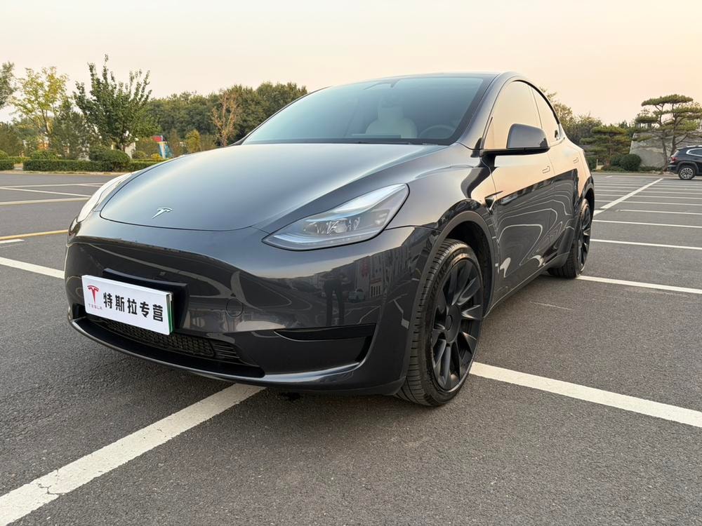 Tesla Model Y 2024 — фото автомобиля 1