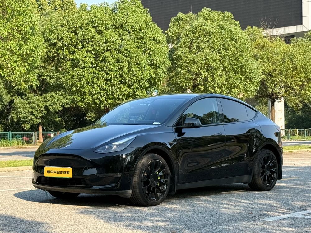 Tesla Model Y 2021 — фото автомобиля 1