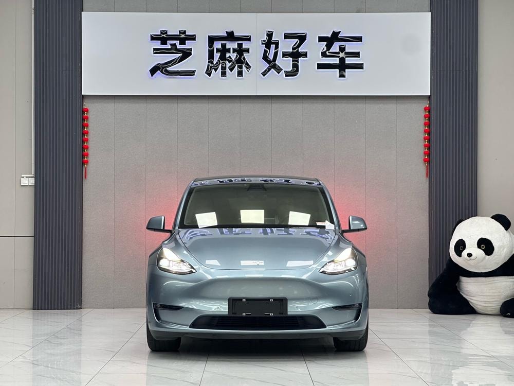 Tesla Model Y 2021 — фото автомобиля 1