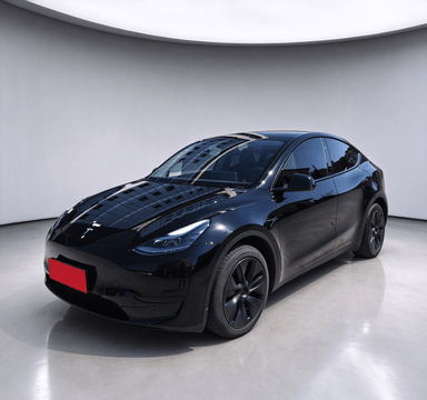 Tesla Model Y 2024 — фото автомобиля 1