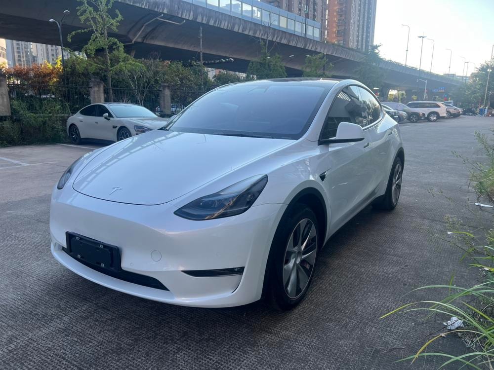Tesla Model Y 2021 — фото автомобиля 1