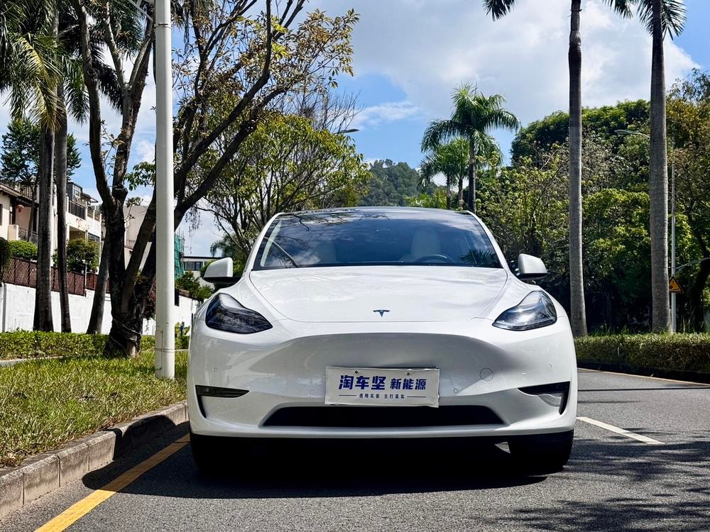 Tesla Model Y 2023 — фото автомобиля