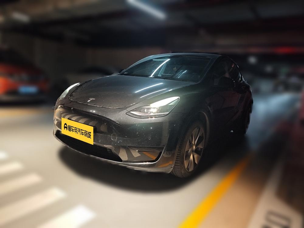 Tesla Model Y 2022 — фото автомобиля 1