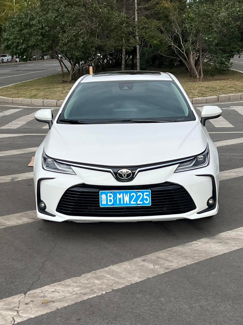 Toyota Corolla 2023 — фото автомобиля