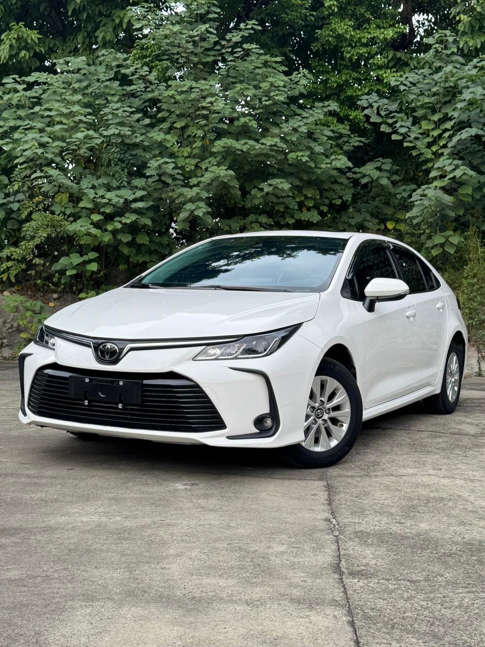 Toyota Corolla 2021 — фото автомобиля