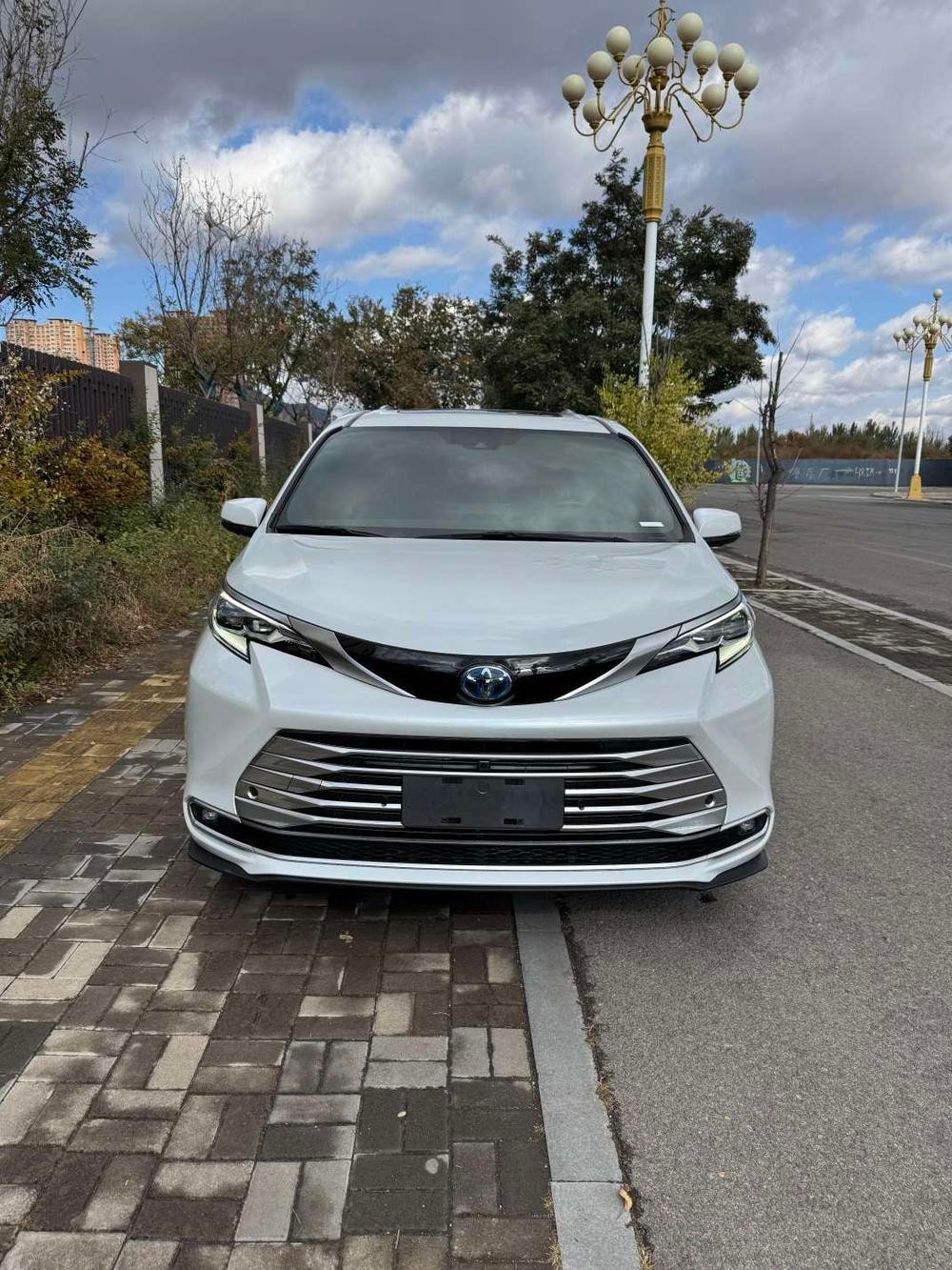 Toyota Sienna 2021 — фото автомобиля