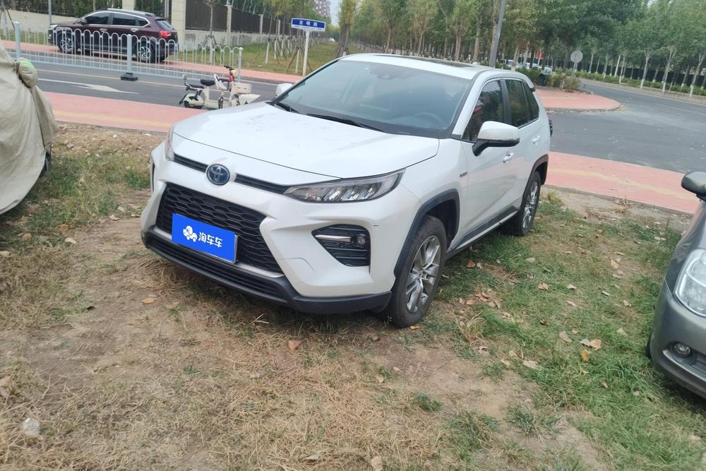 Toyota Wildlander 2020 — фото автомобиля