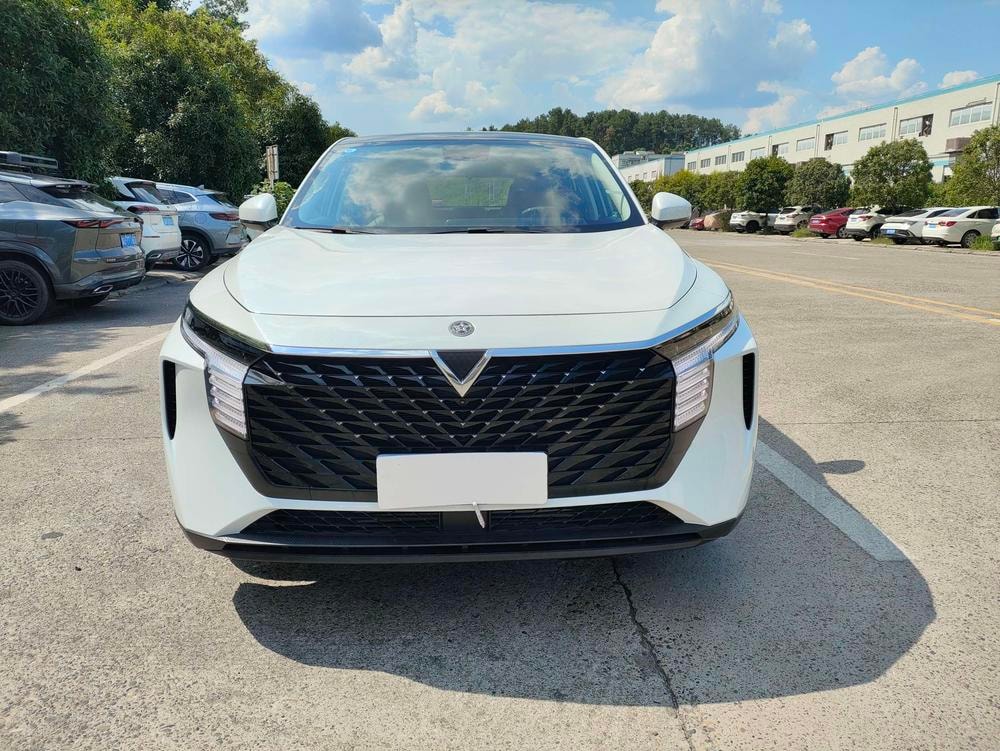 Venucia Big V 2023 — фото автомобиля