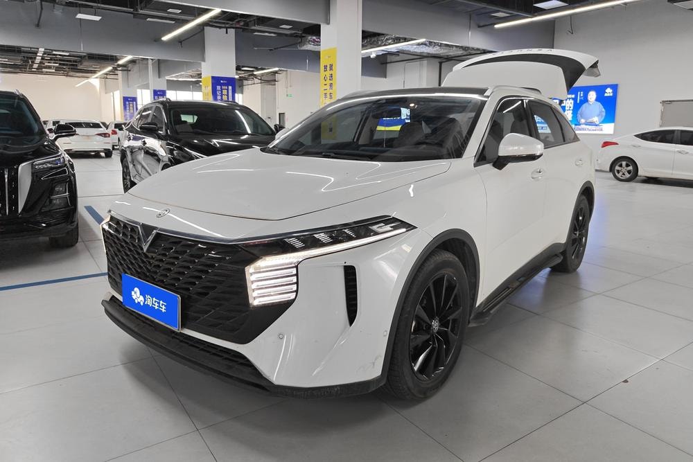 Venucia Big V 2022 — фото автомобиля