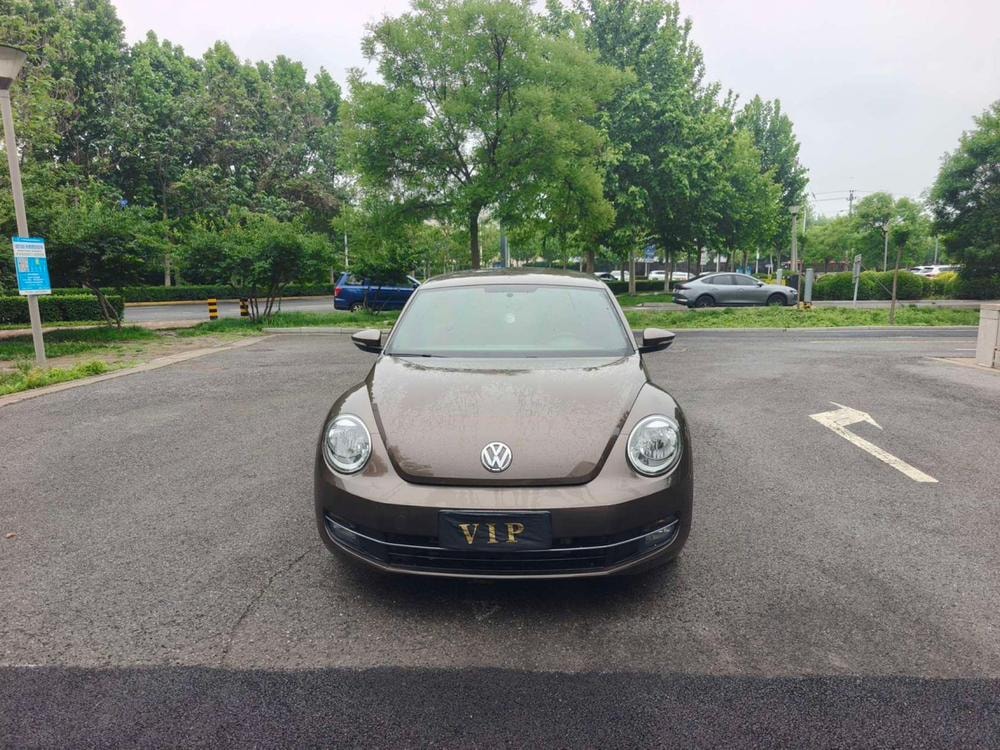 Volkswagen Beetle 2014 — фото автомобиля 1