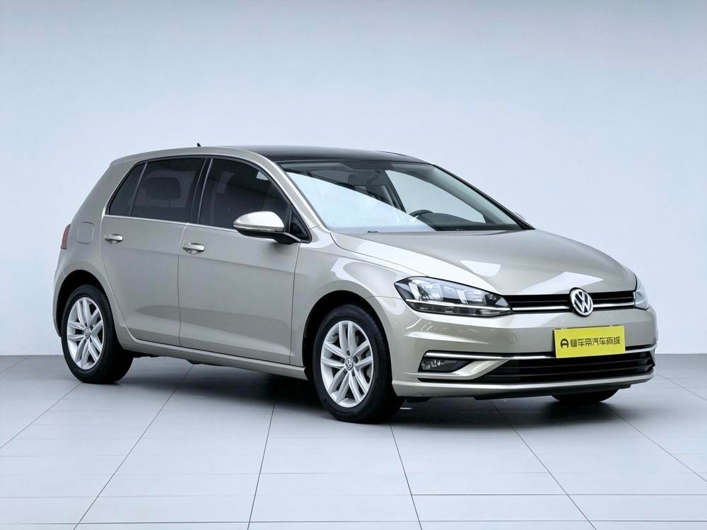 Volkswagen Golf 2019 — фото автомобиля