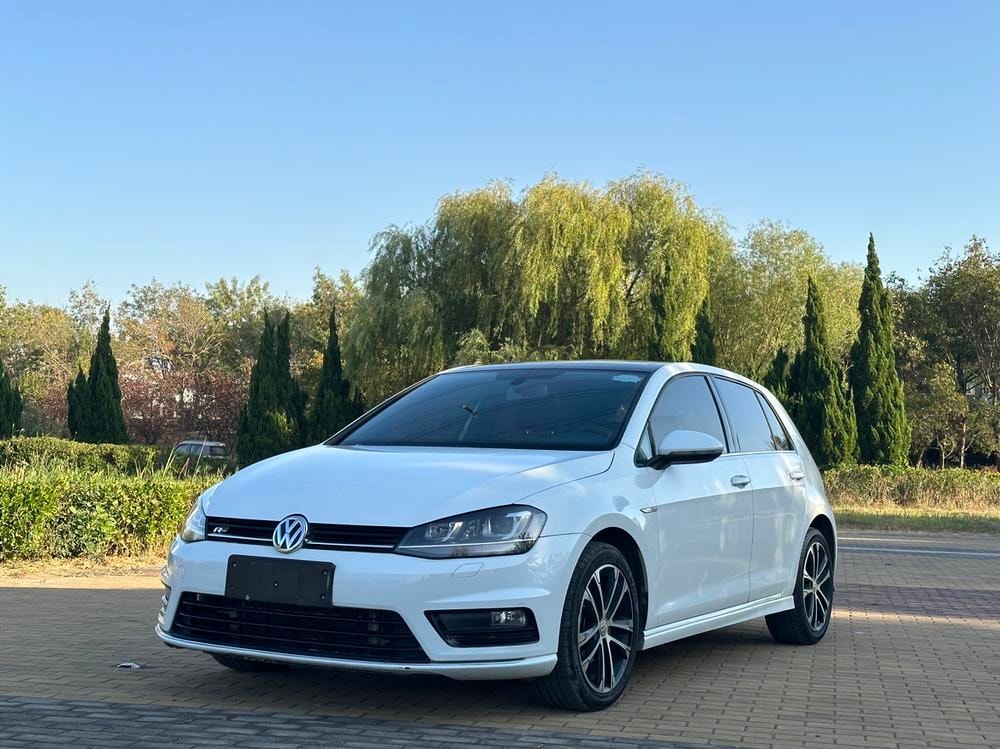 Volkswagen Golf 2016 — фото автомобиля