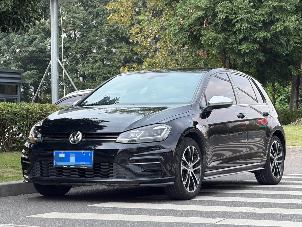 Volkswagen Golf 2019 — фото автомобиля