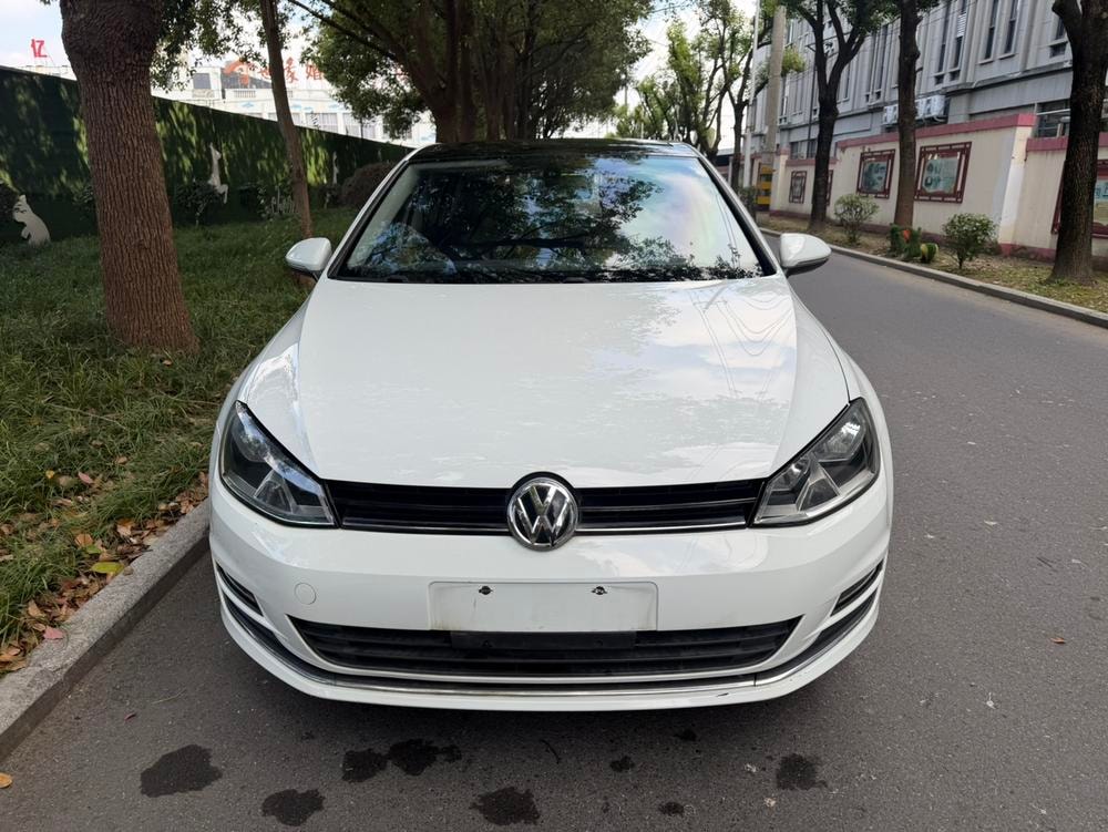 Volkswagen Golf 2014 — фото автомобиля