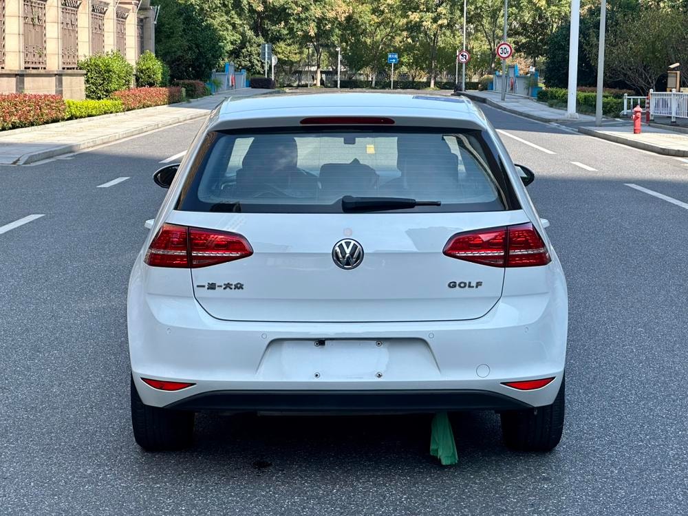 Volkswagen Golf 2016 — фото автомобиля