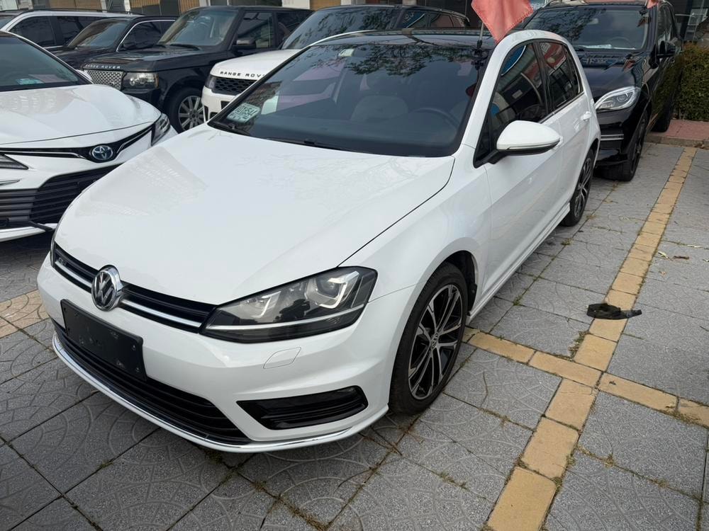 Volkswagen Golf 2017 — фото автомобиля