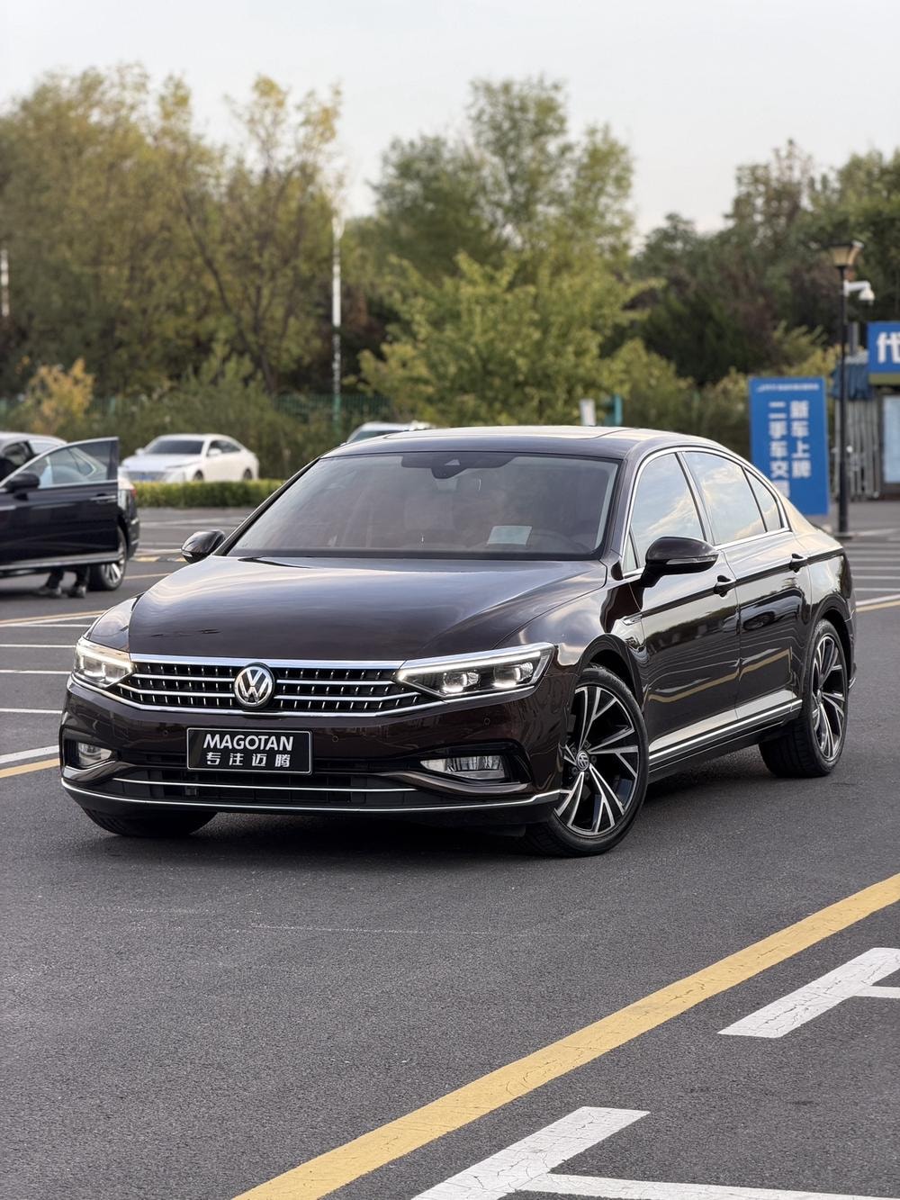 Volkswagen Magotan 2020 — фото автомобиля