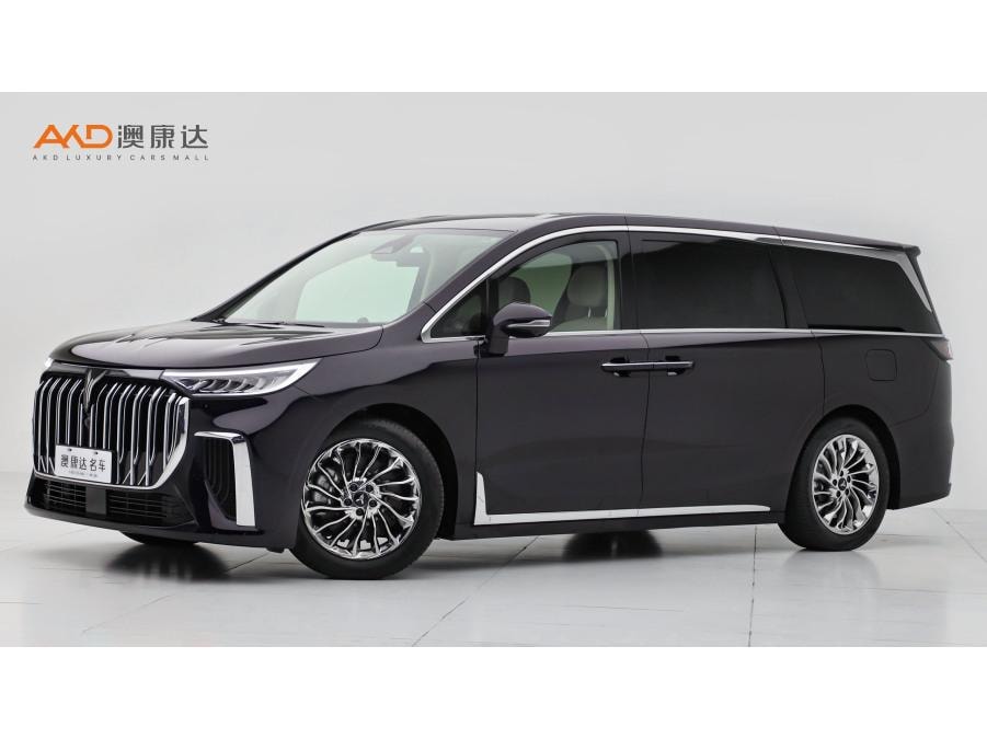 Voyah Dreamer PHEV 2024 — фото автомобиля 1