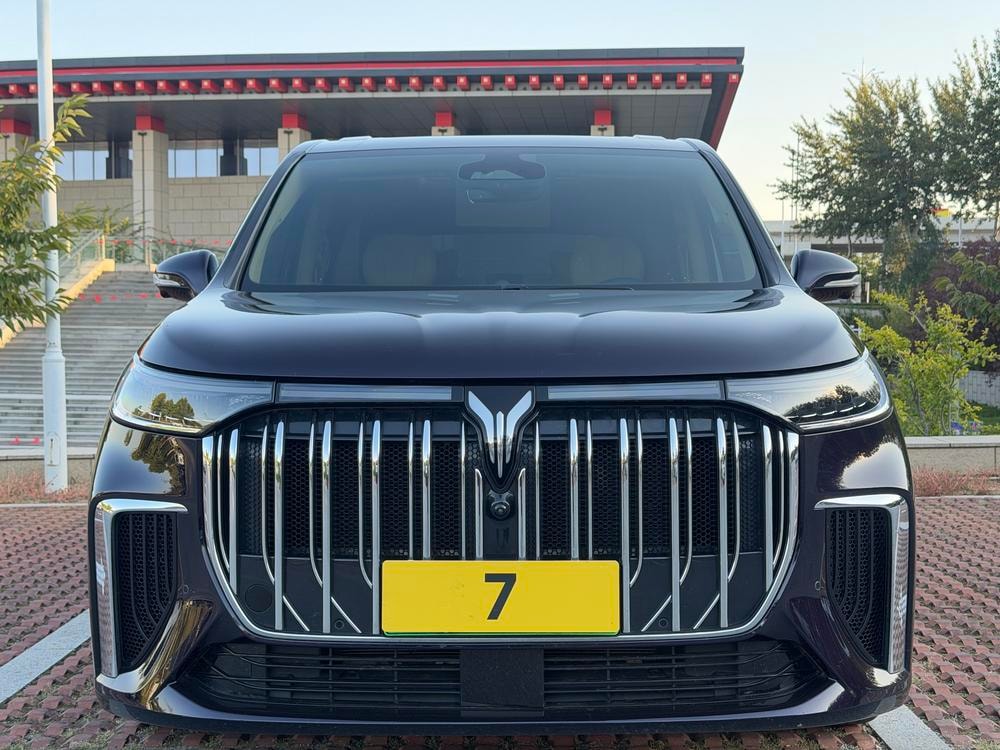 Voyah Dreamer PHEV 2022 — фото автомобиля