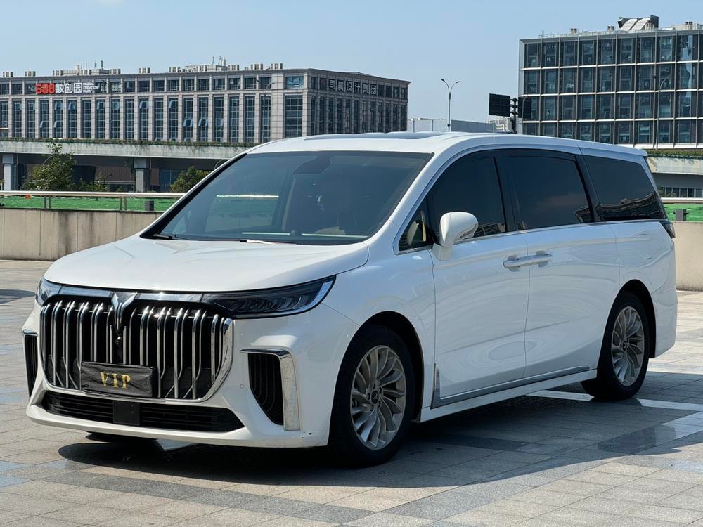 Voyah Dreamer PHEV 2022 — фото автомобиля