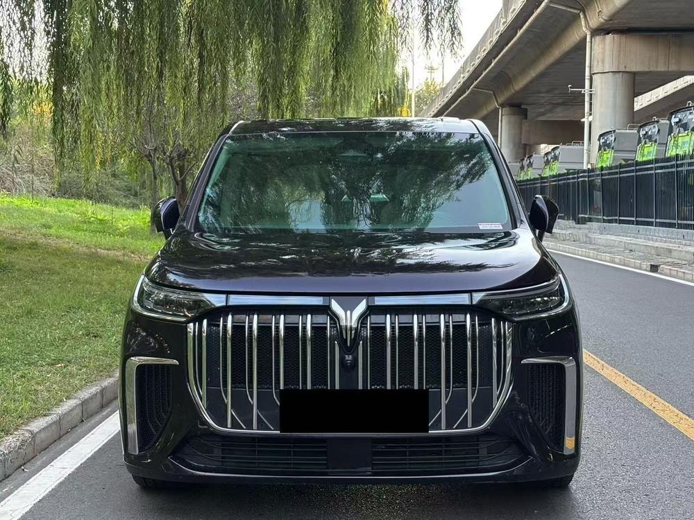 Voyah Dreamer PHEV 2022 — фото автомобиля