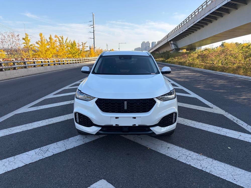 WEY VV6 2018 — фото автомобиля