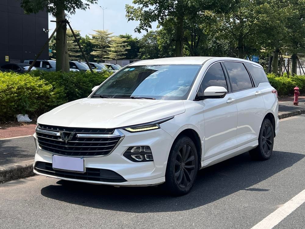 Wuling Capgemini Victory 2020 — фото автомобиля