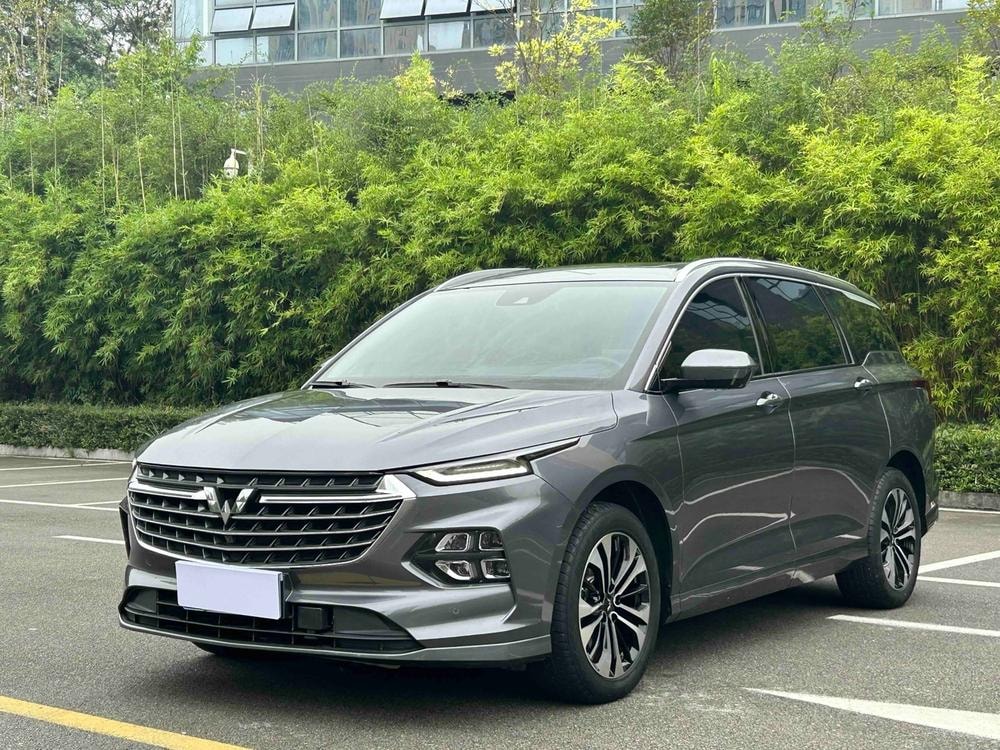 Wuling Capgemini Victory 2022 — фото автомобиля