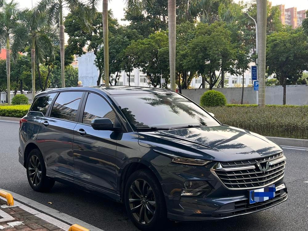 Wuling Capgemini Victory 2020 — фото автомобиля