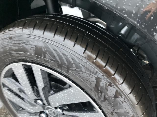 Миниатюра 57