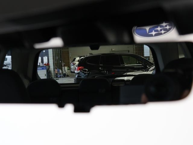 Миниатюра 42