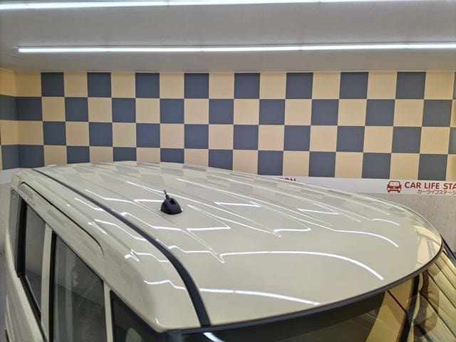 Миниатюра 66