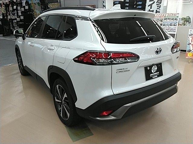 Миниатюра 18
