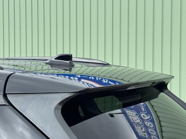 Миниатюра 17