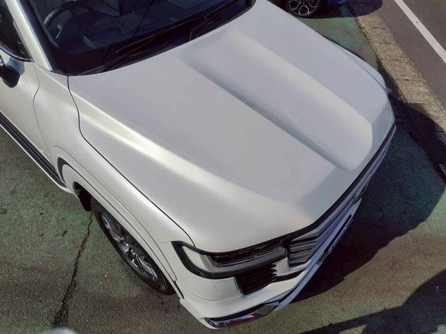 Миниатюра 31