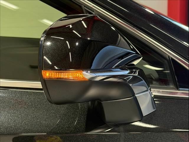 Миниатюра 25