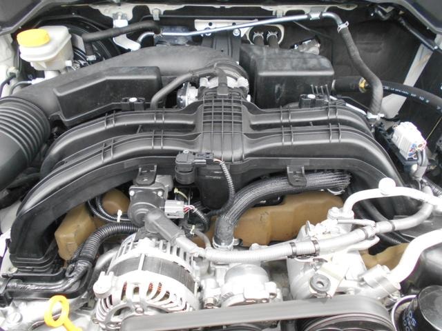 Миниатюра 43